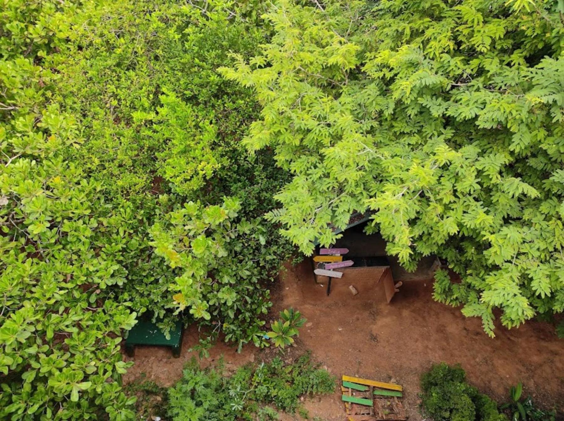 Travellers Crib Hotel Auroville Exterior photo